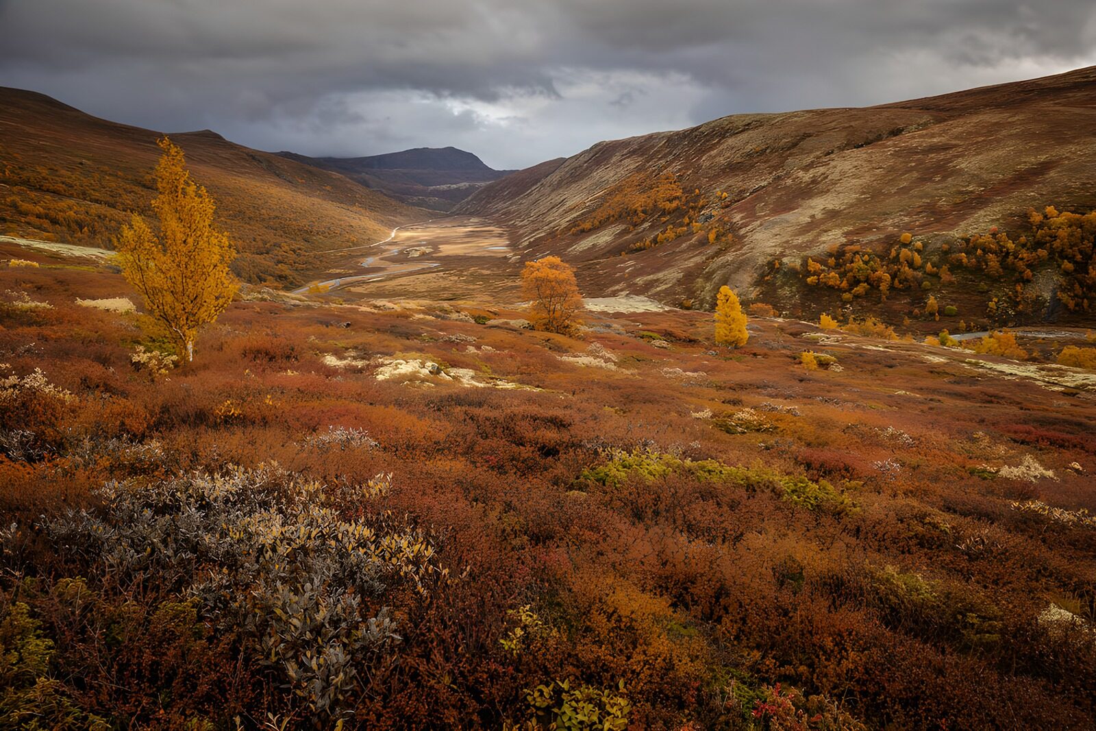 TPFR42275: Paysage d'automne en montagne