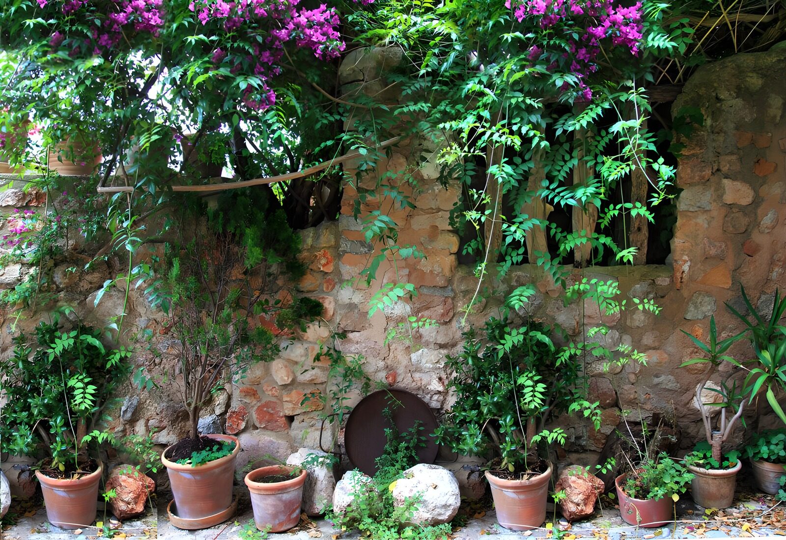 TPFR61334: Jardin paisible avec murs en pierre