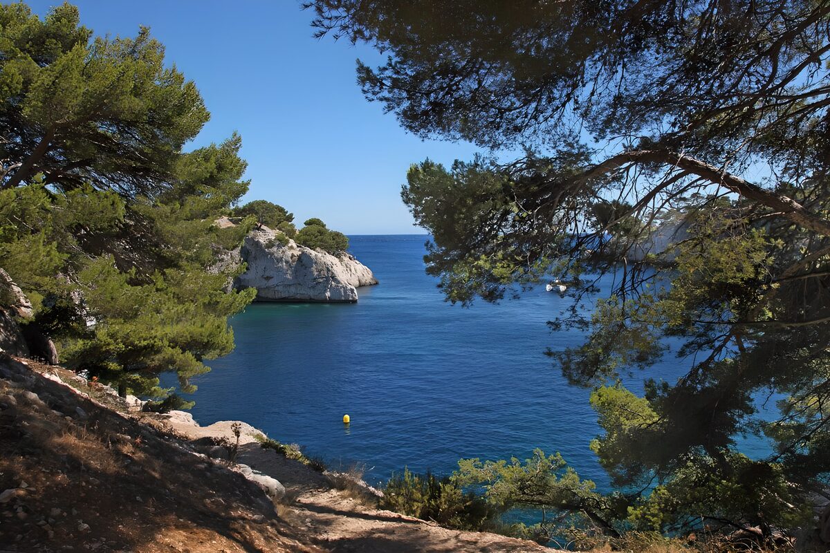 TPFR37647: Côte méditerranéenne sous les pins