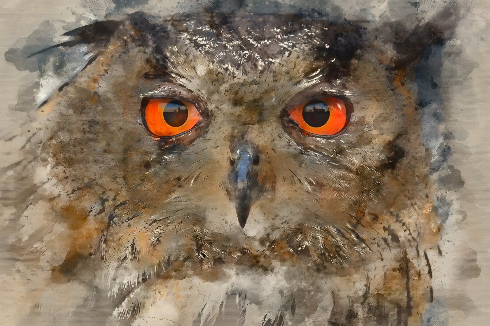 TPFR77033: Hibou au regard perçant