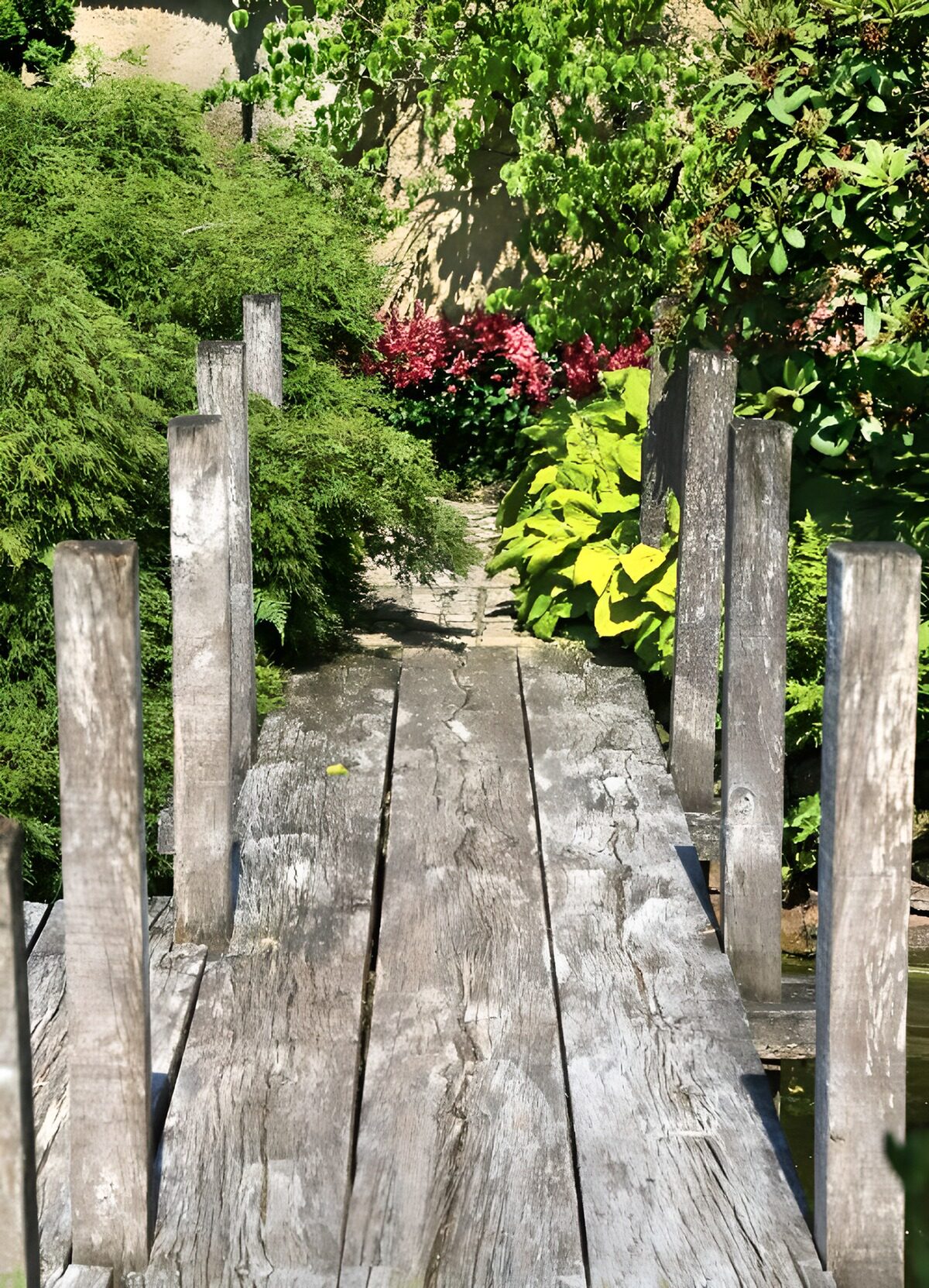 TPFR35516: Sentier paisible dans le jardin