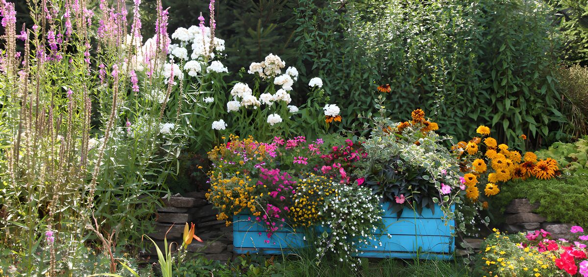 TPFR67517: Jardin fleuri en boîte bleue