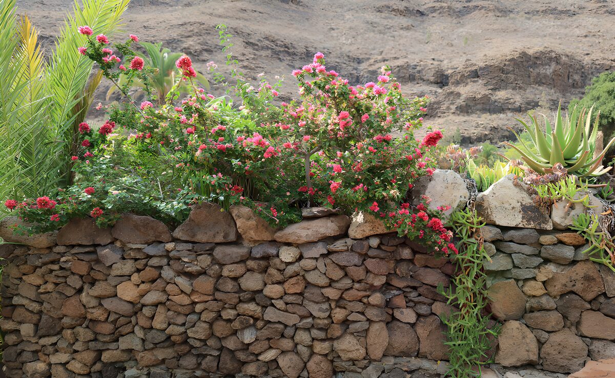 TPFR42182: : Jardins colorés en bordure de pierre