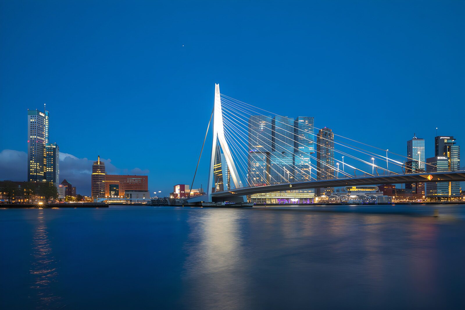 TPFR21285: Pont Erasmus à Rotterdam de nuit