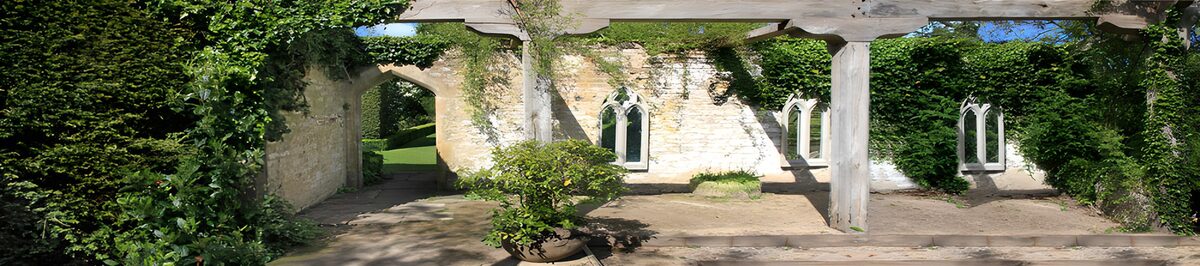 TPFR17264: Ruines verdoyantes dans la lumière