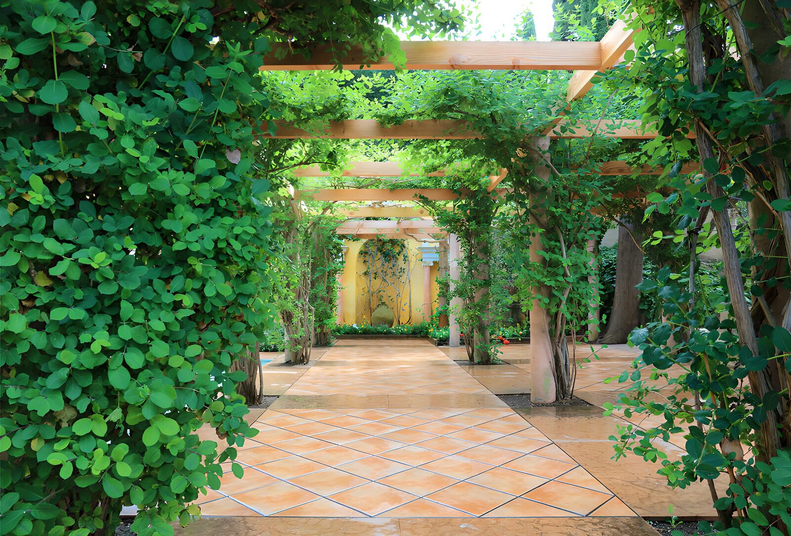 TPFR22893: Allée verdoyante dans un jardin paisible
