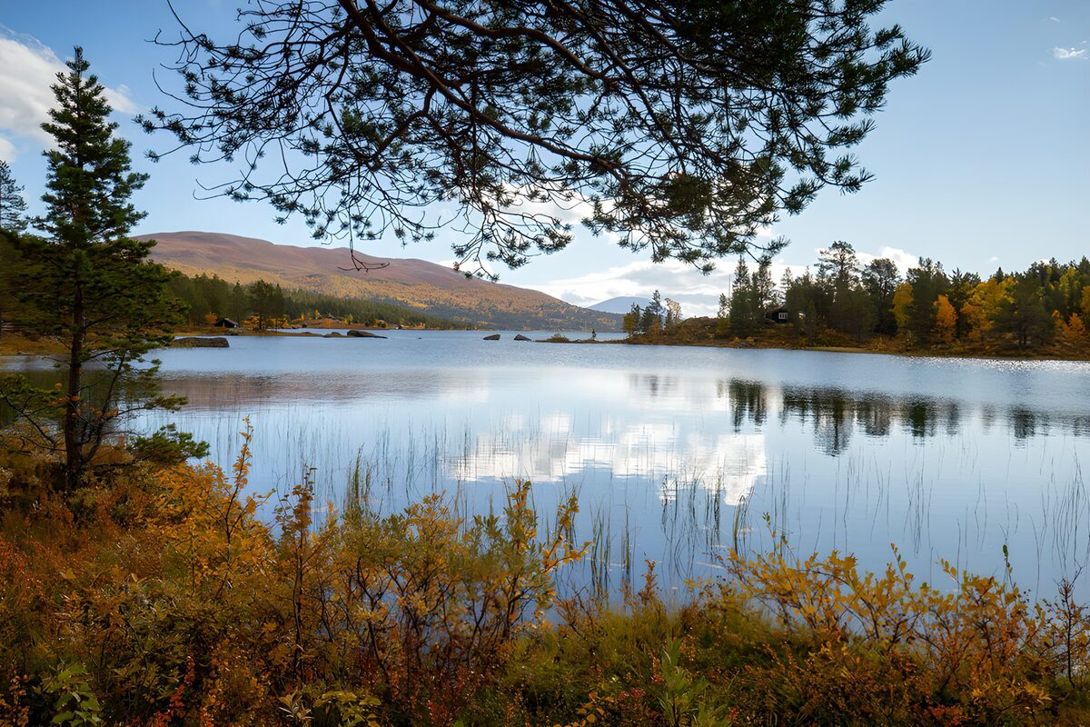 TPFR49756: Reflexions paisibles sur le lac