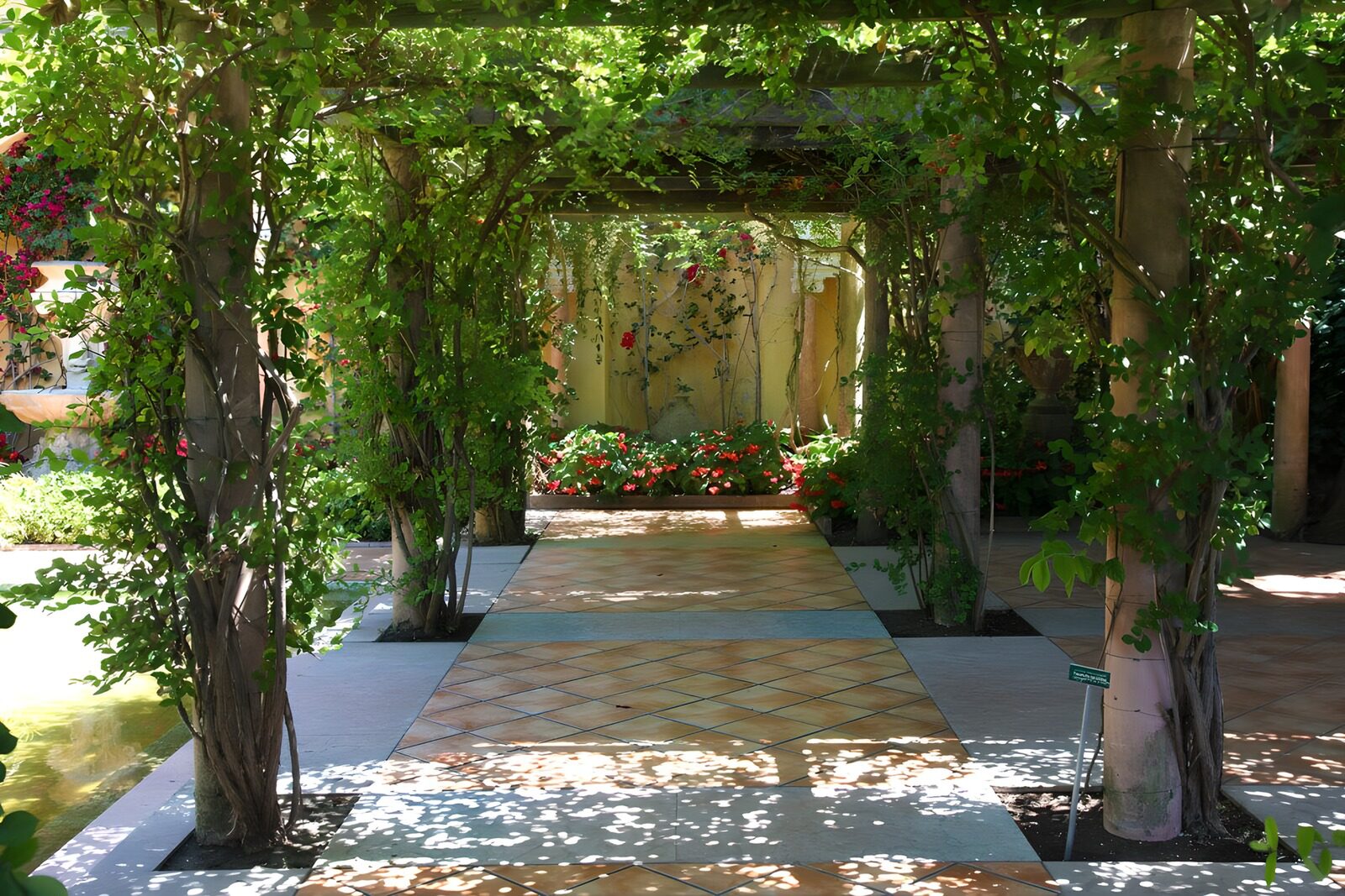 TPFR35074: Jardin secret sous les vignes florissantes