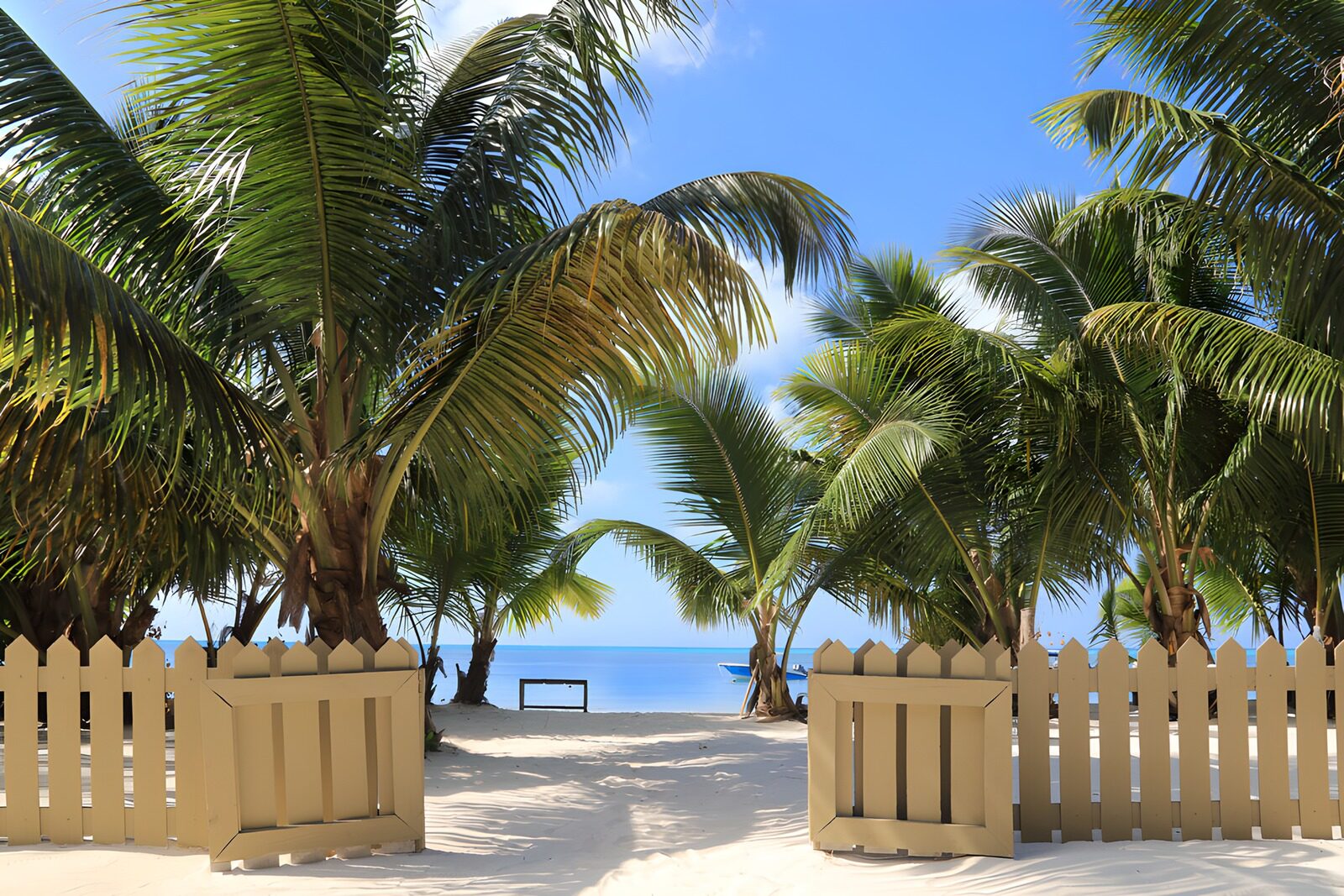 TPFR67384: Portail vers un paradis tropical
