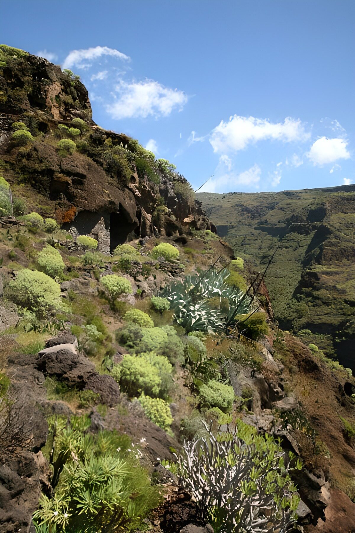TPFR62476: La Gomera 28