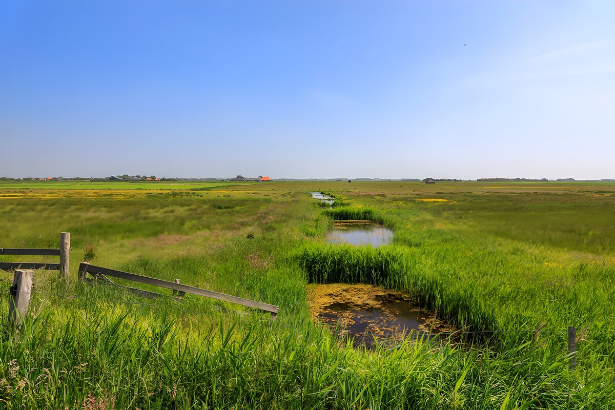 TPFR40490: Paysage verdoyant et paisible