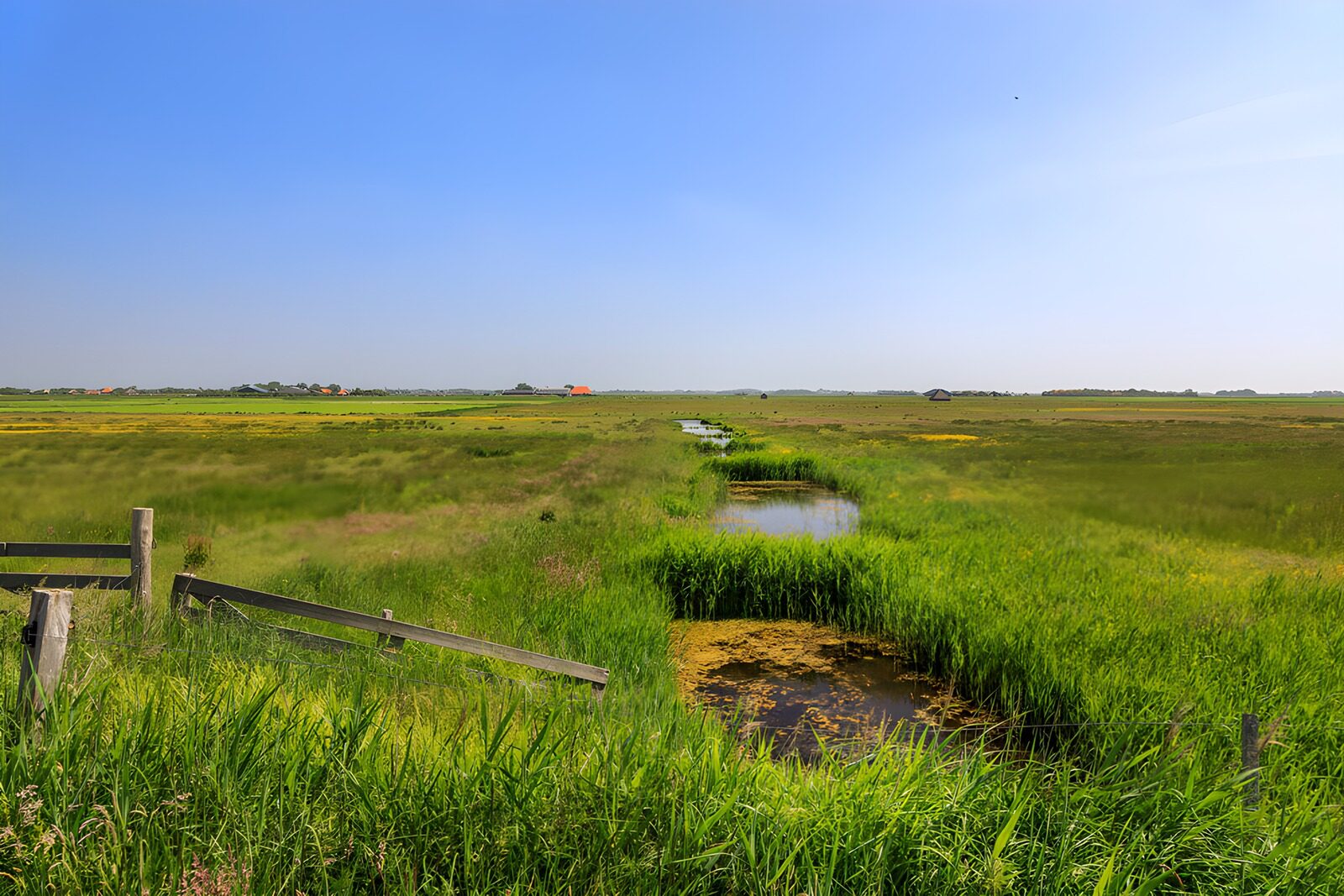 TPFR40490: Paysage verdoyant et paisible