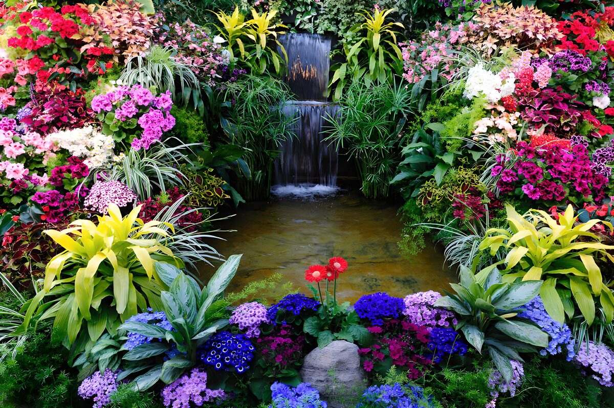 Cascade florale en pleine nature