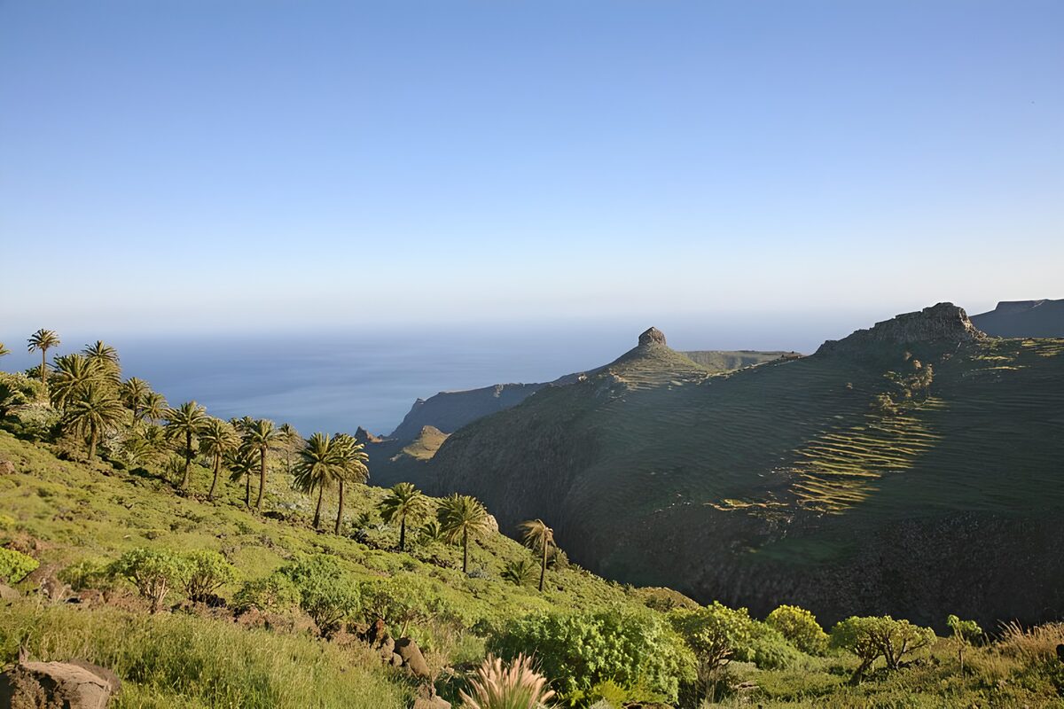 TPFR17996: La Gomera 30