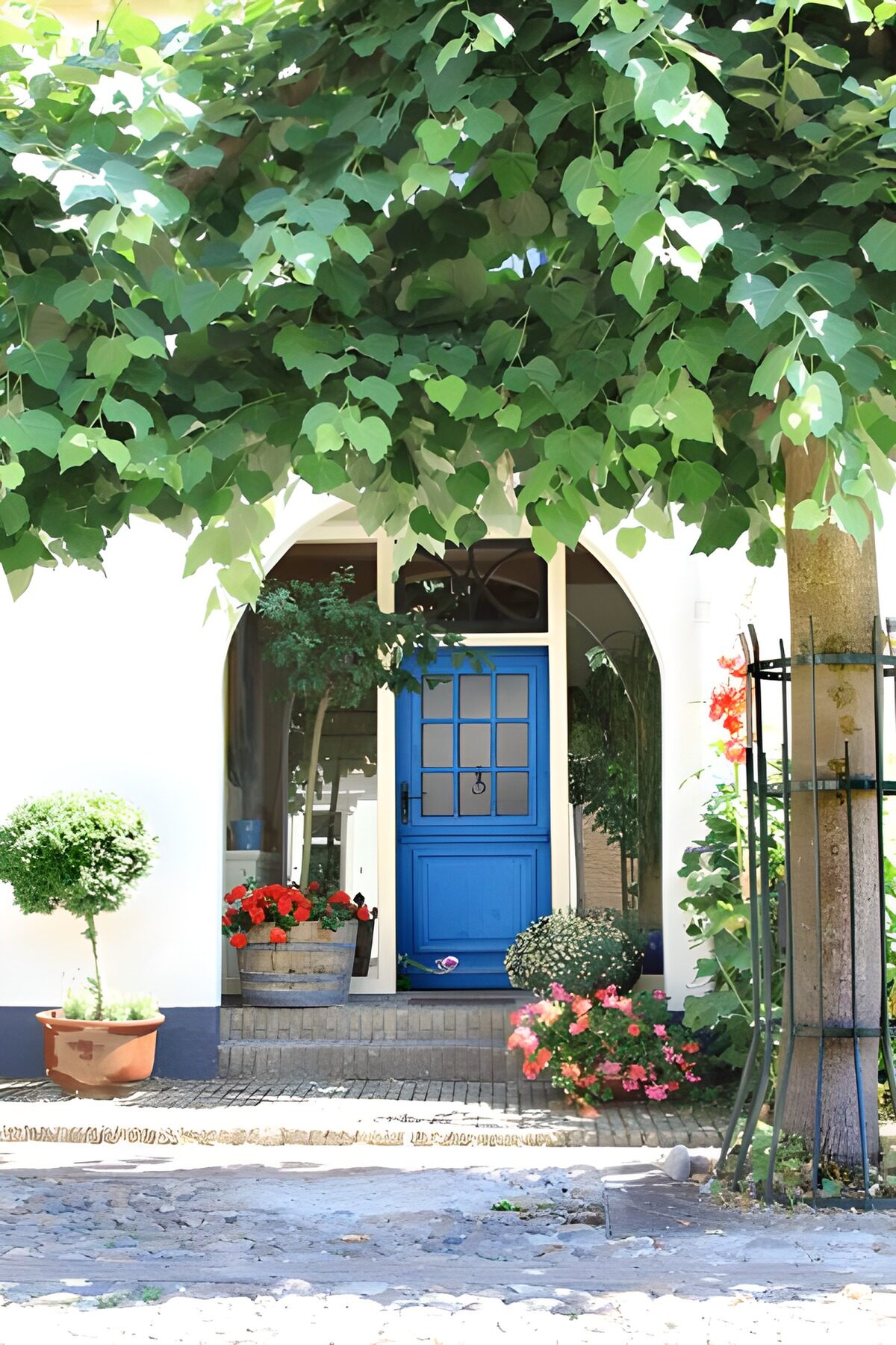 TPFR24857: Vue sur une porte de maison bleue avec des carreaux depuis une guirlande de feuilles vertes