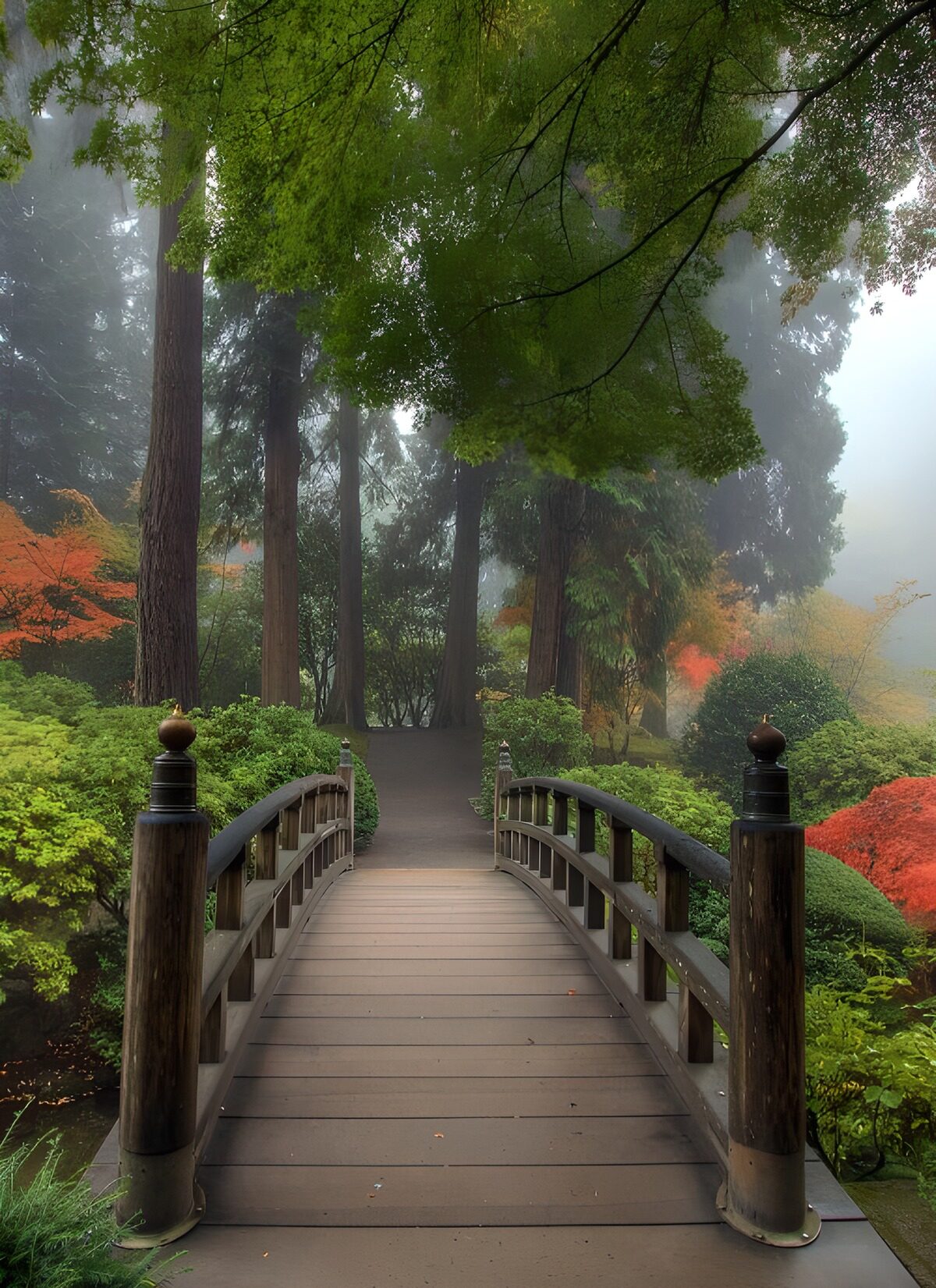 TPFR97502: Pont enchanteur dans un jardin brumeux
