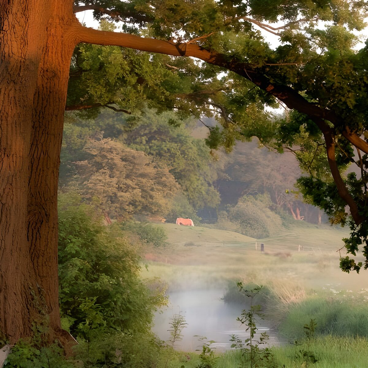 TPFR51219: Échappée de vue vers un paysage dans le brouillard avec un grand arbre en avant-plan