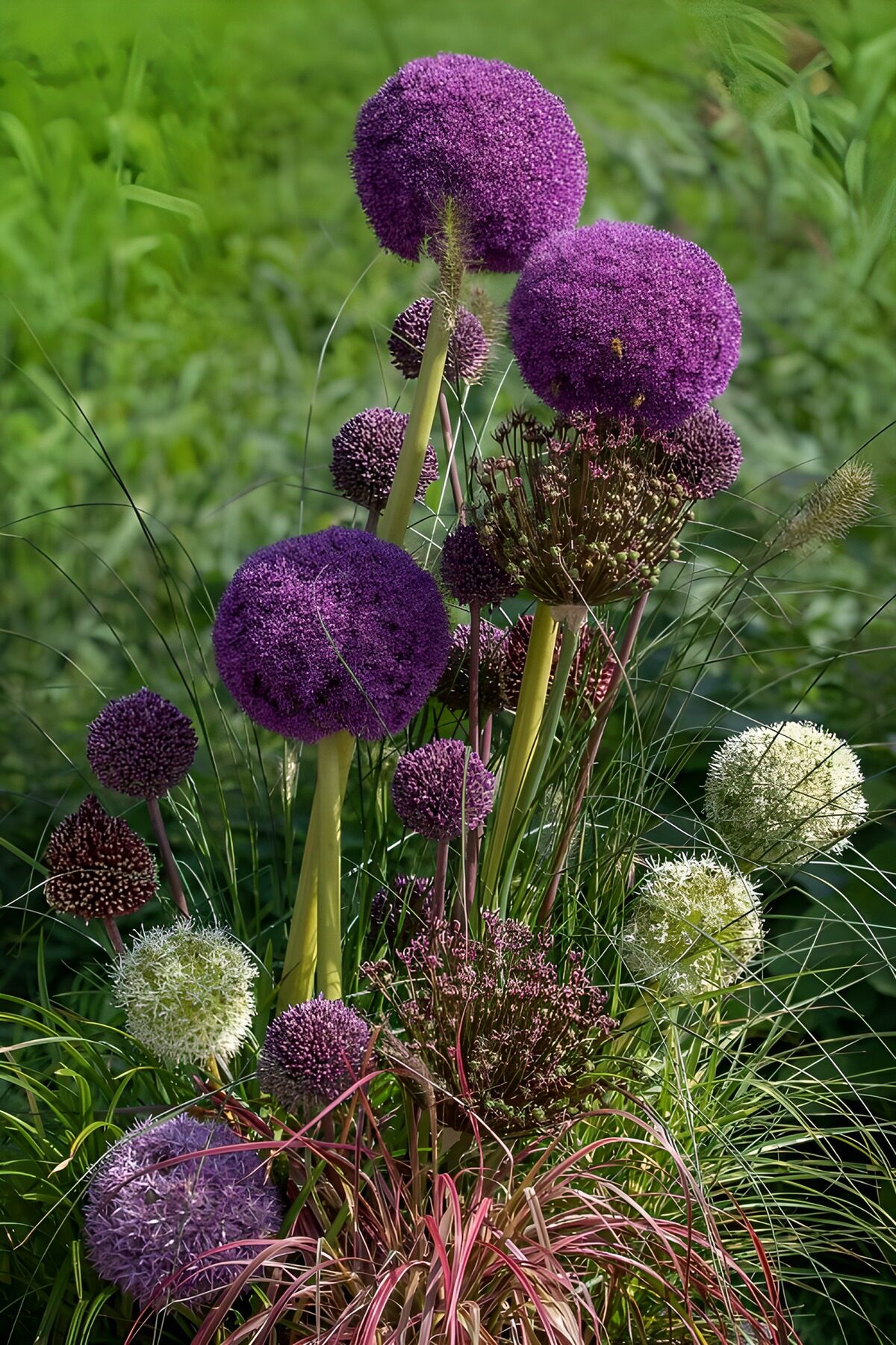 TPFR64347: Bouquet de fleurs colorées