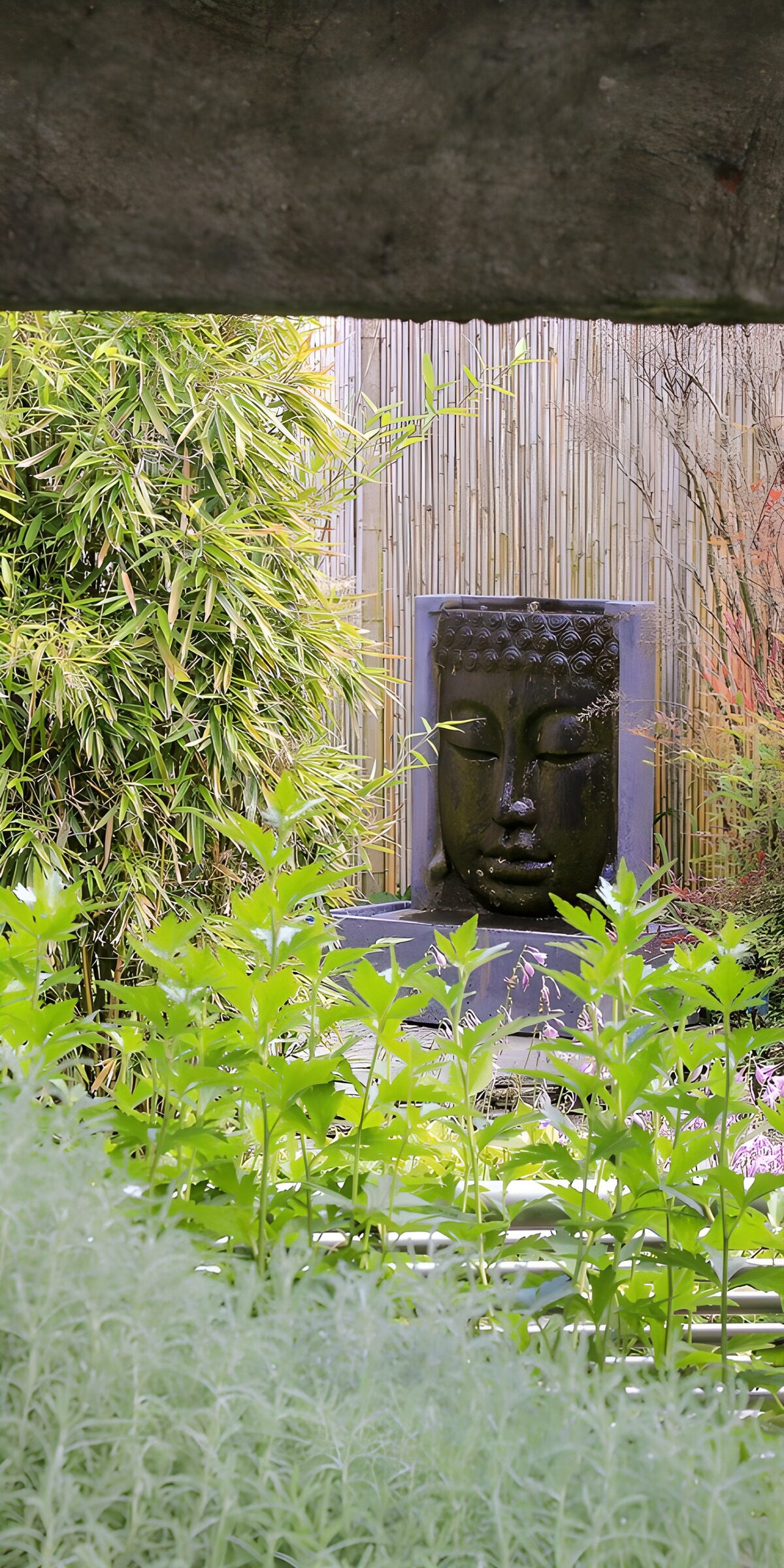 TPFR82925: Évasion tranquille dans le jardin