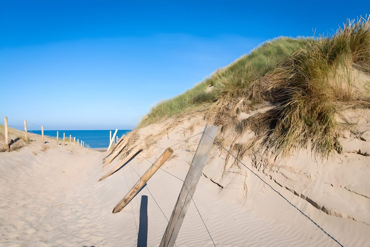 TPFR84342: Chemin vers la plage ensoleillée