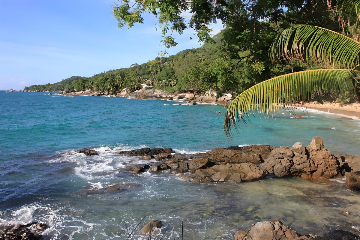 TPFR27366: Plage tranquille sous les palmiers