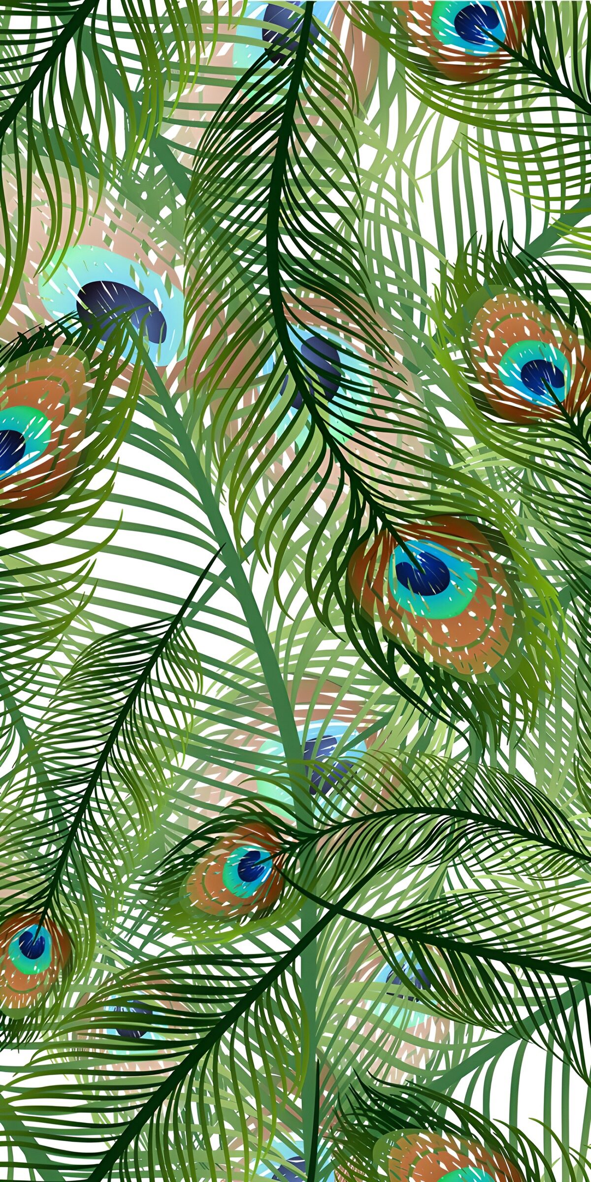 TPFR80288: Plumes de paon et feuillage vibrant