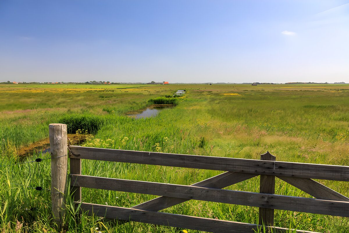 TPFR73933: Paysage verdoyant aux portes ouvertes