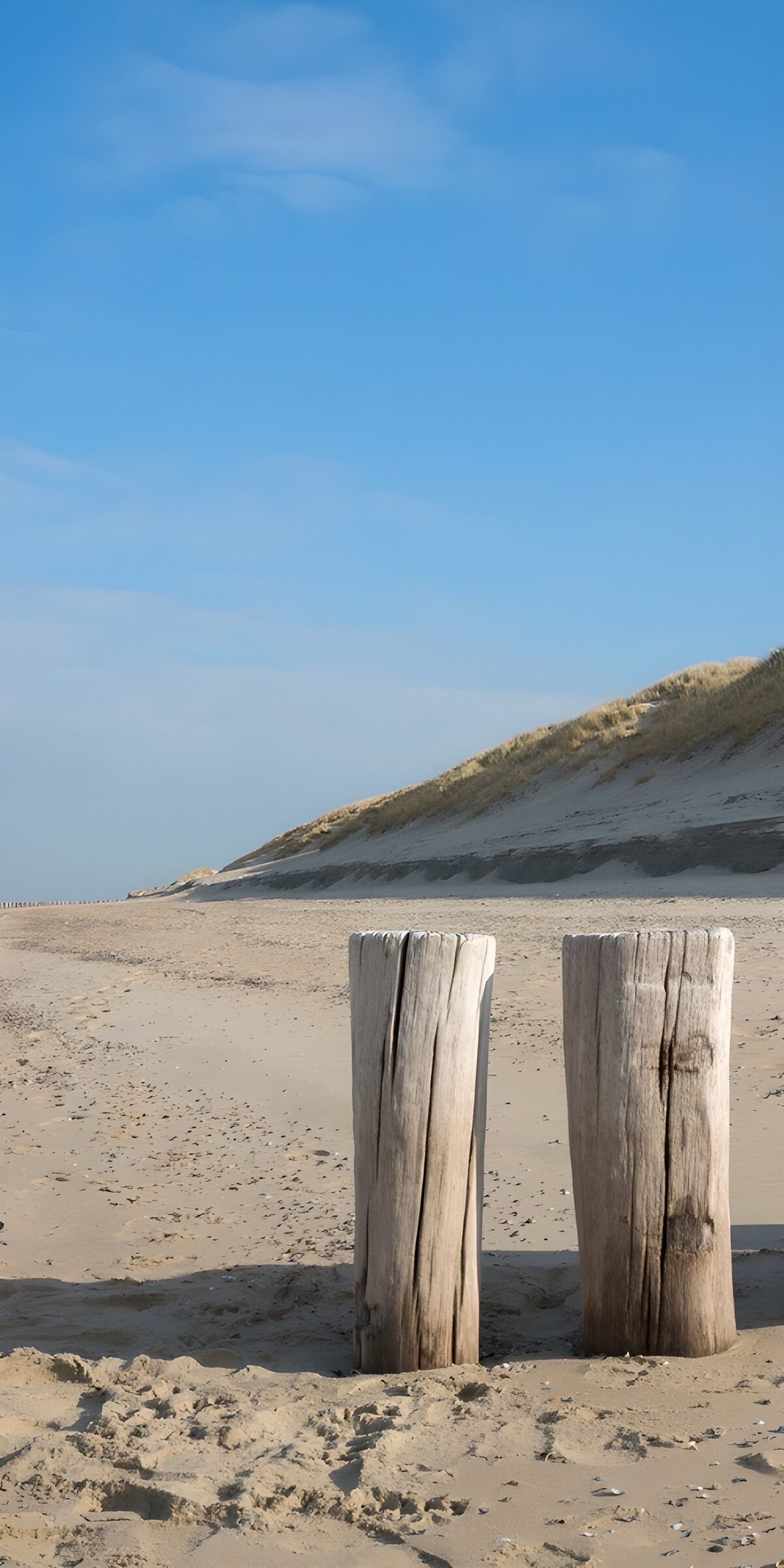 TPFR93682: Deux poteaux sur la plage tranquille