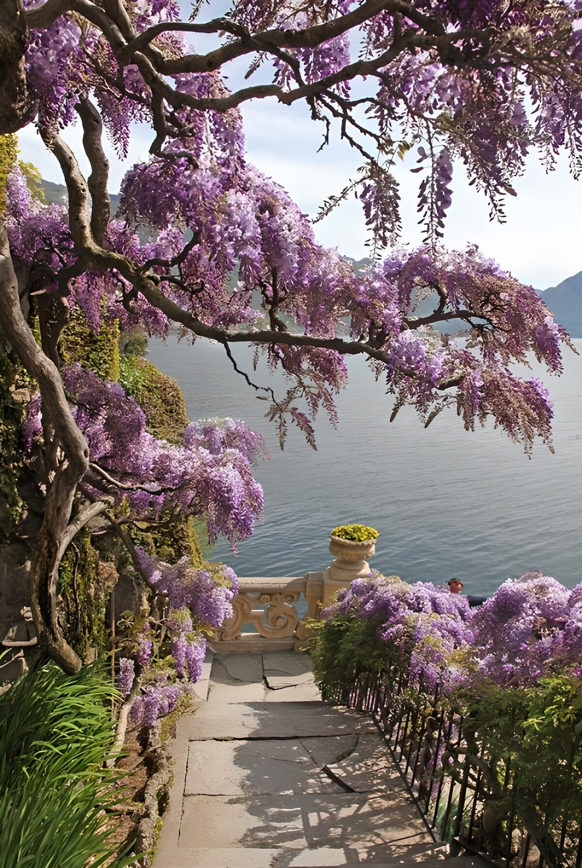 TPFR68639: Escalier fleuri au bord du lac