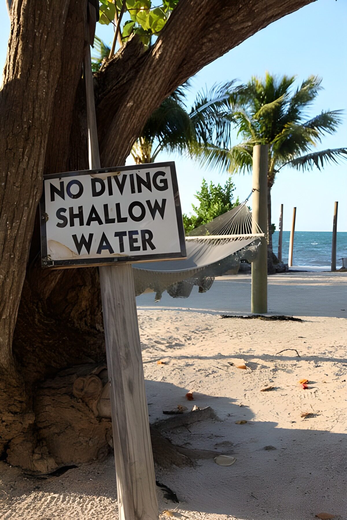 TPFR23498: Palmiers sur une plage avec une pancarte mentionnant No Diving Shallow Water