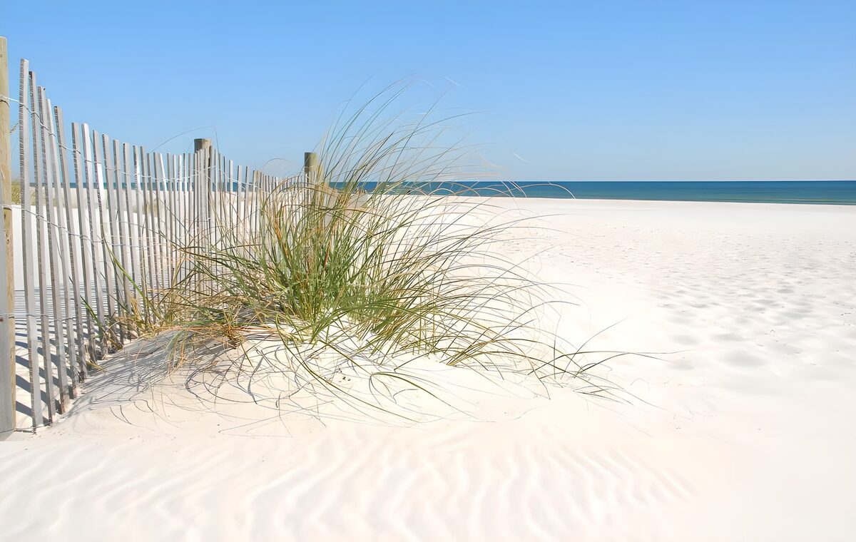 TPFR69439: Plage paisible et dunes de sable