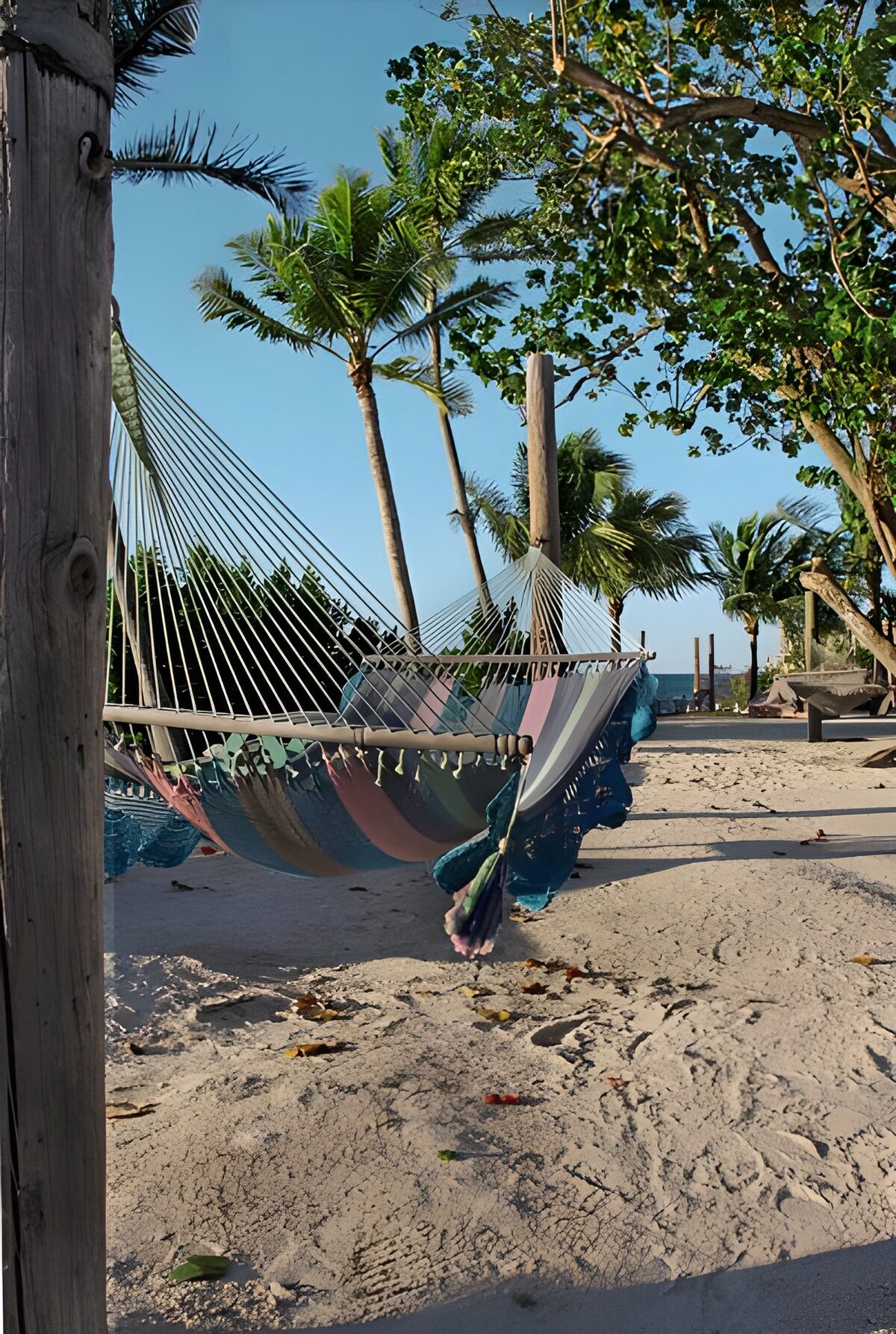TPFR57982: Hamac entre deux palmiers