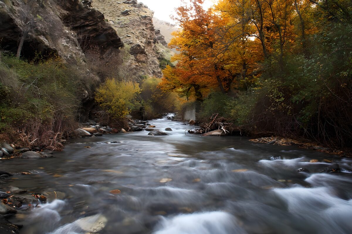TPFR66646: Rivière paisible en automne
