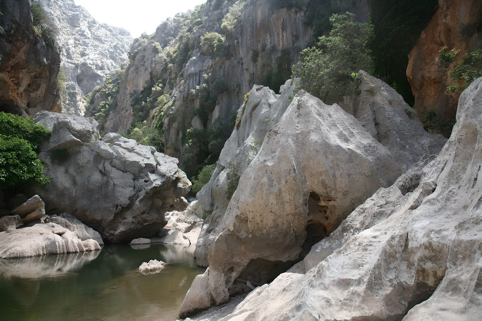 TPFR68852: Pièce d'eau encadrée de roches version 2