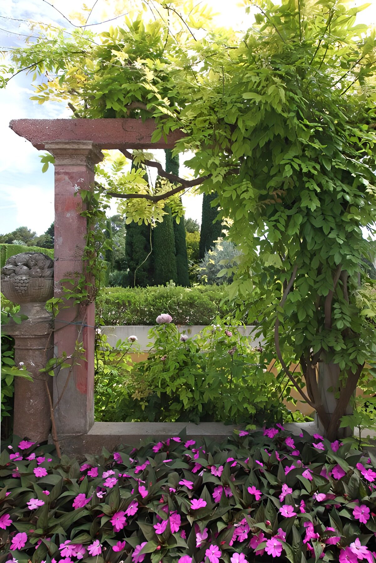 TPFR17140: Vignoble fleuri à travers un arc verdoyant