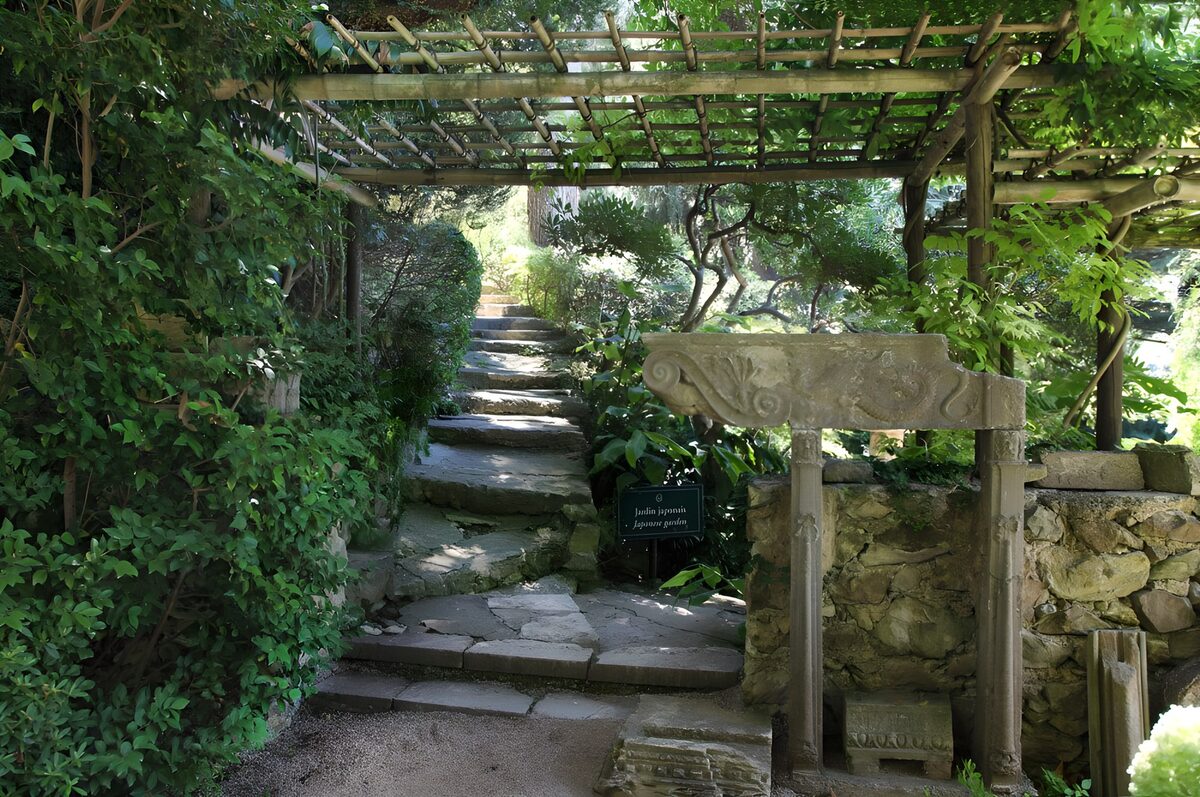 chemin paisible dans un jardin japonais
