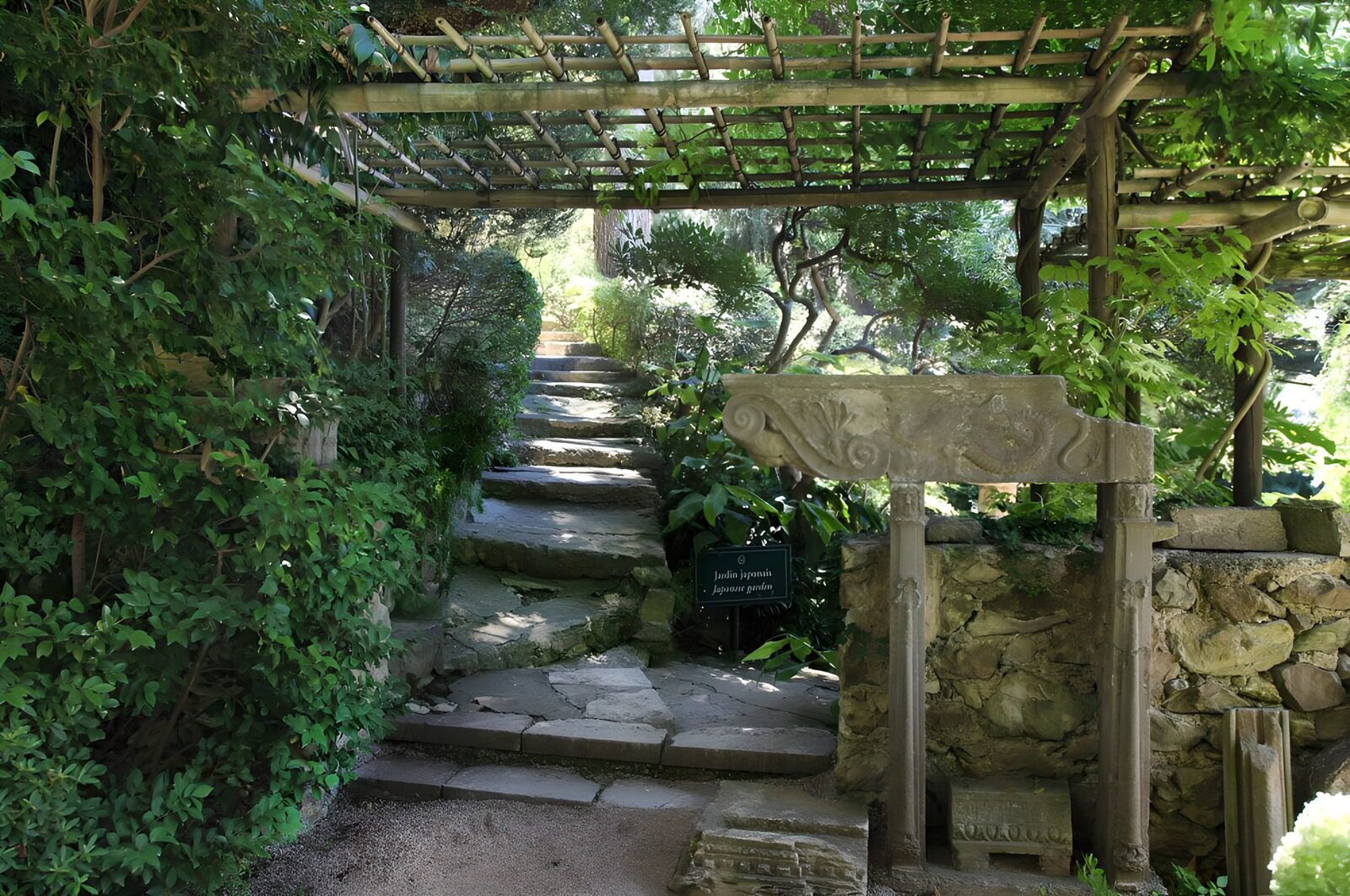 TPFR50158: chemin paisible dans un jardin japonais
