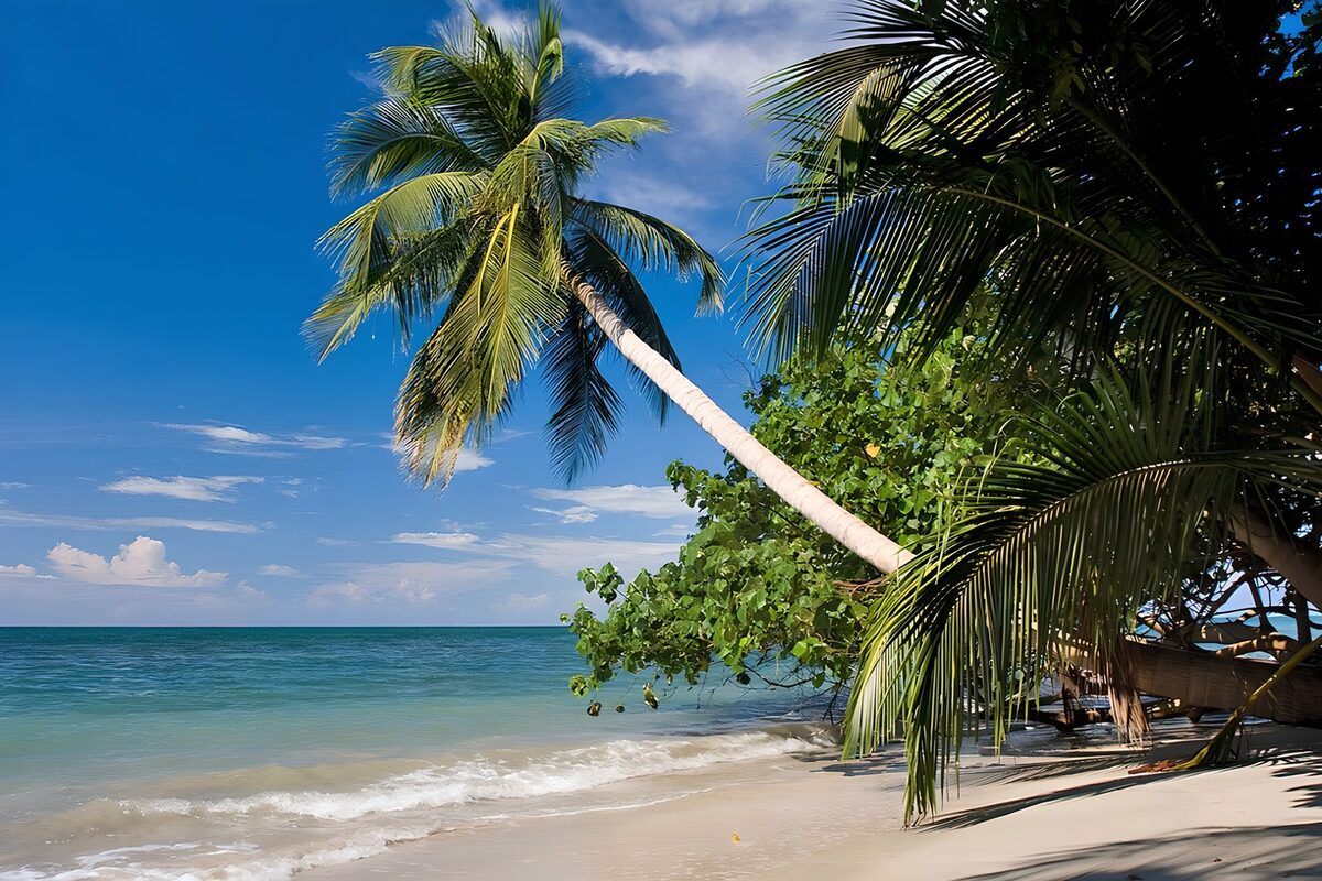 TPFR44833: Plage paradisiaque sous un ciel bleu