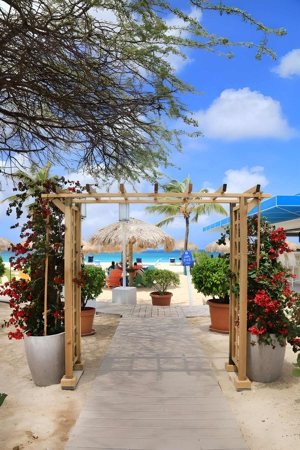 TPFR72363: Sentier vers la plage ensoleillée