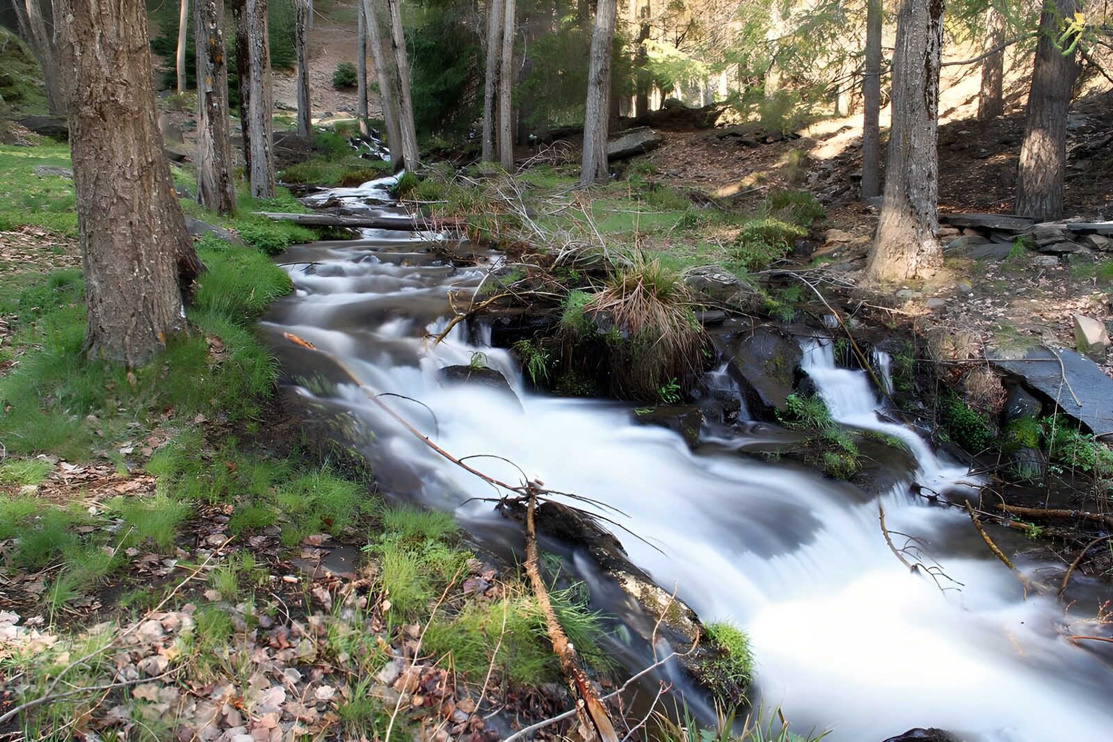 TPFR70919: Ruisseau paisible en pleine nature