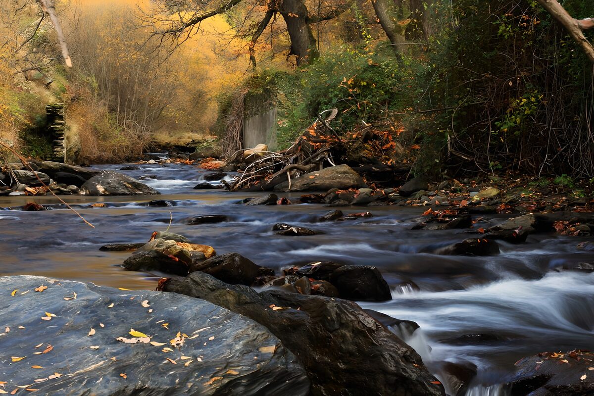 TPFR59226: Ruisseau paisible en automne