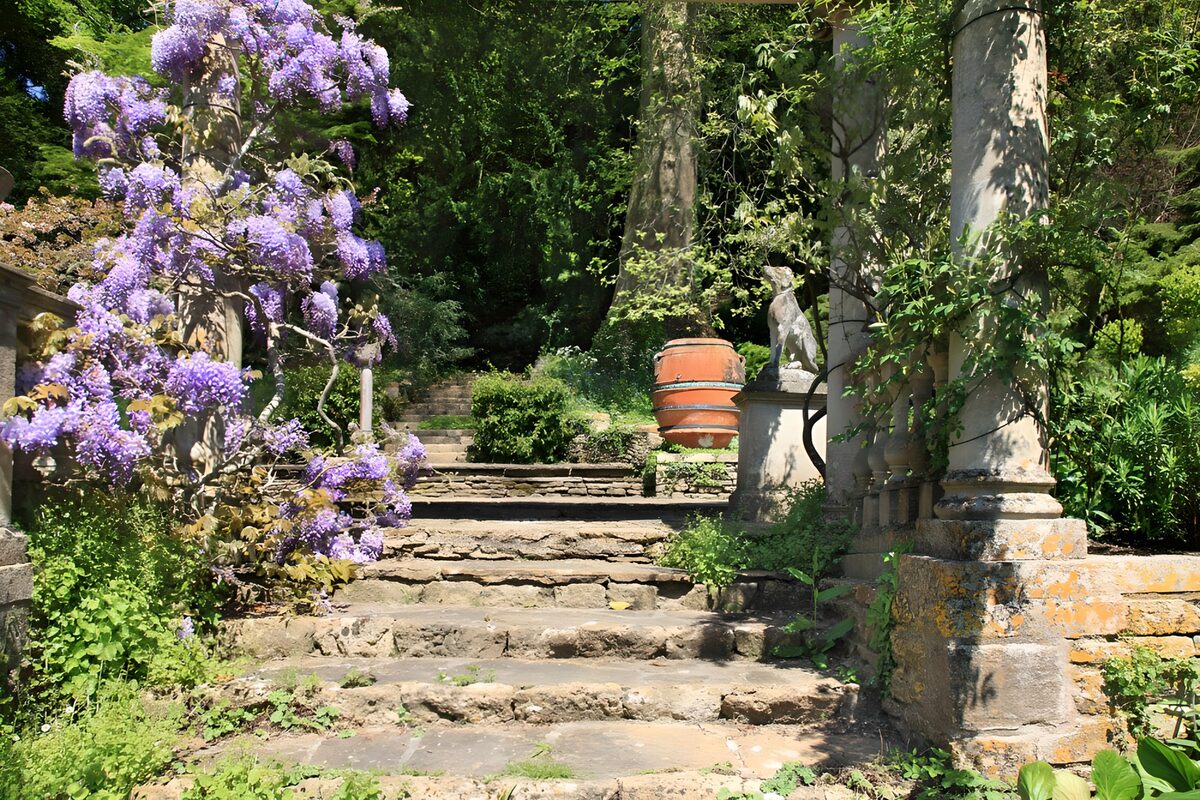 TPFR82636: Escaliers fleuris dans un jardin