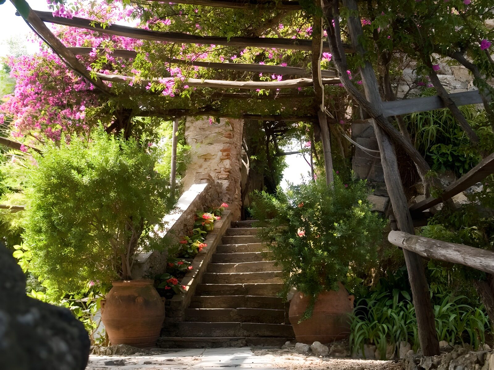 TPFR24722: Escalier extérieur garni de plantes et de pots en terre cuite