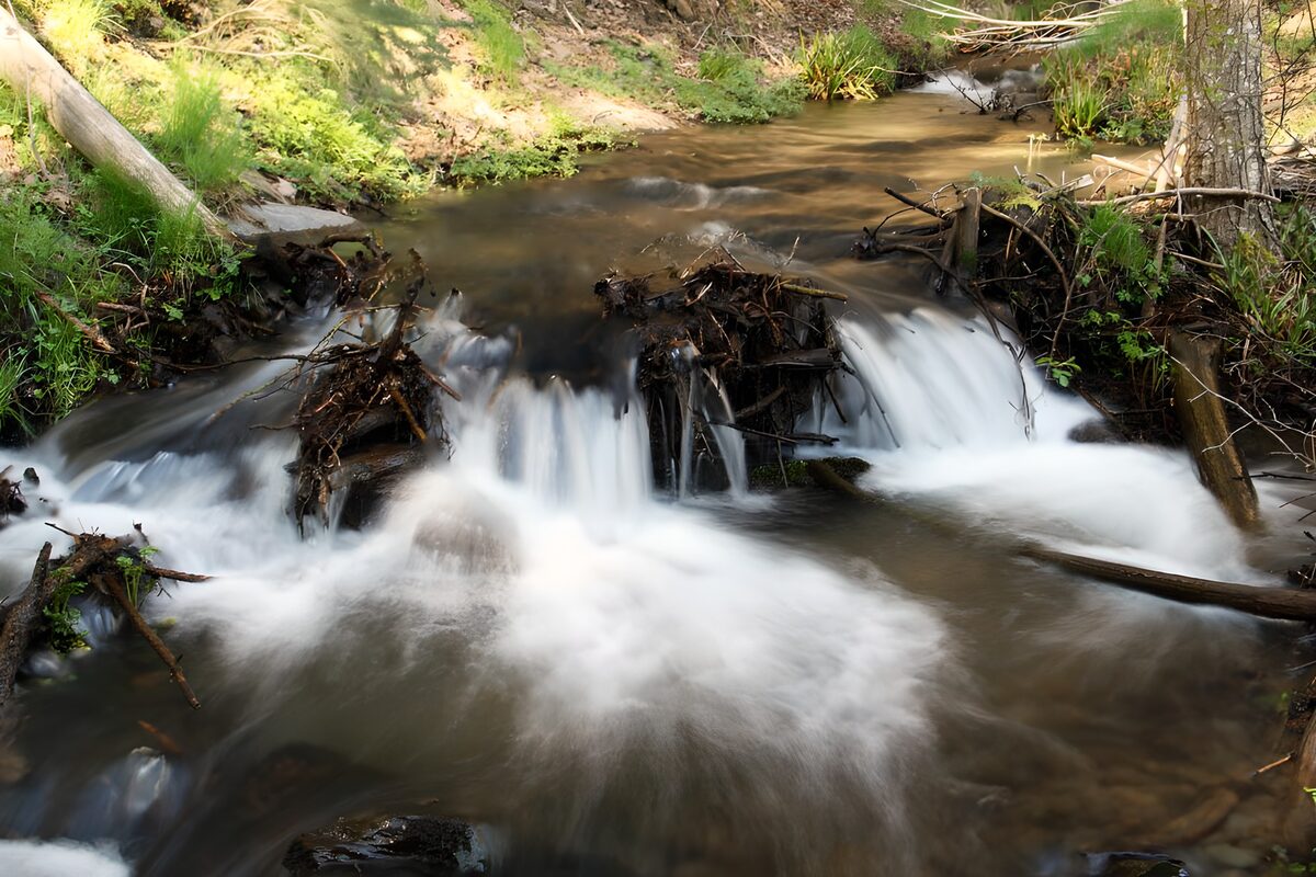 TPFR63781: Ruisseau paisible en pleine nature
