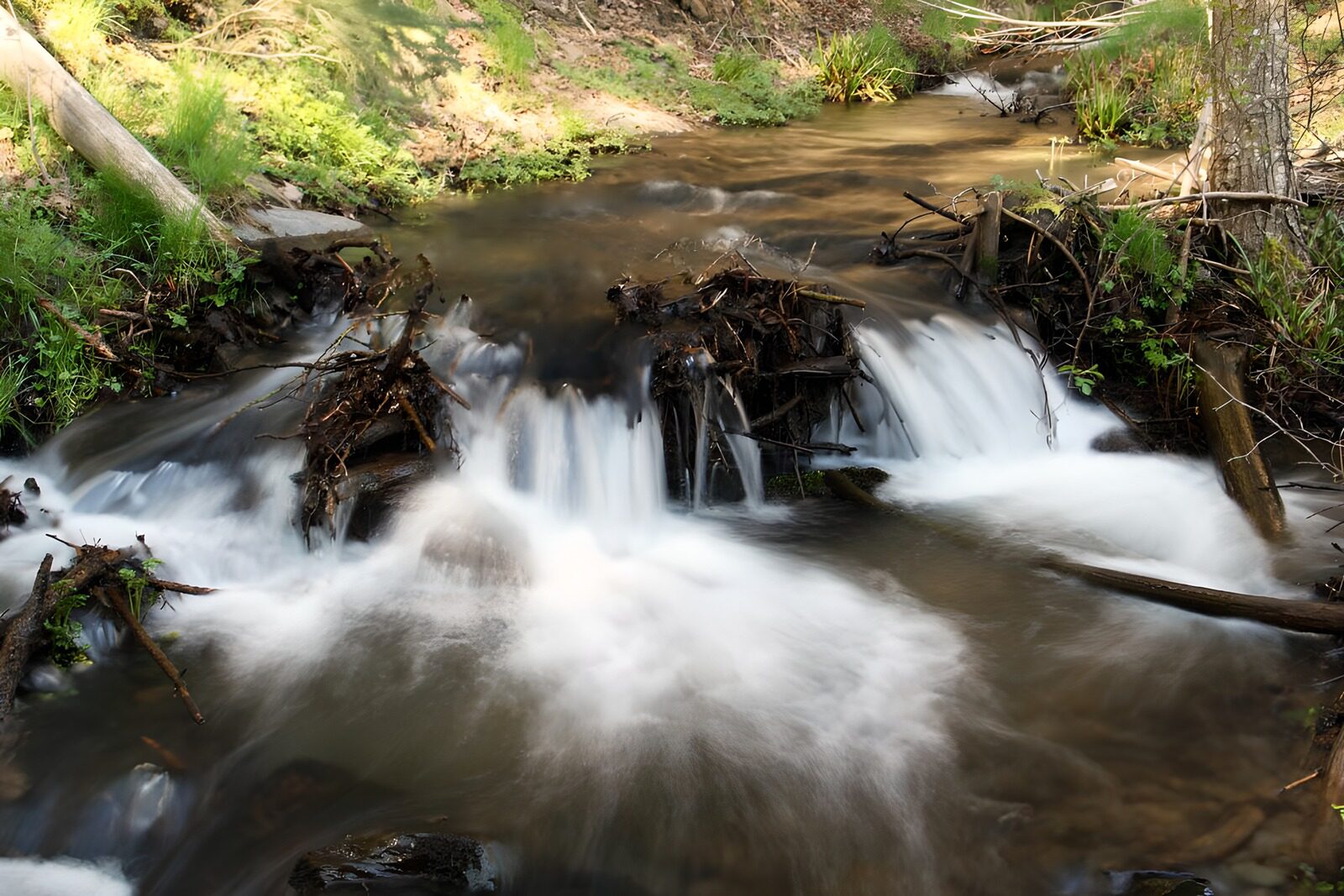 TPFR63781: Ruisseau paisible en pleine nature