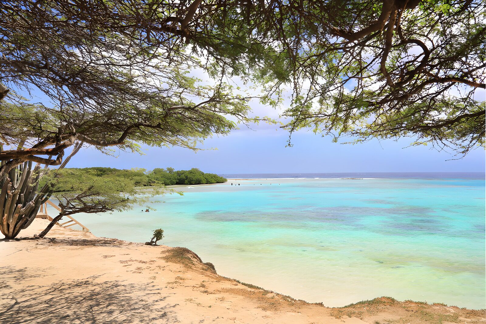 TPFR45105: Plage tranquille sous les arbres