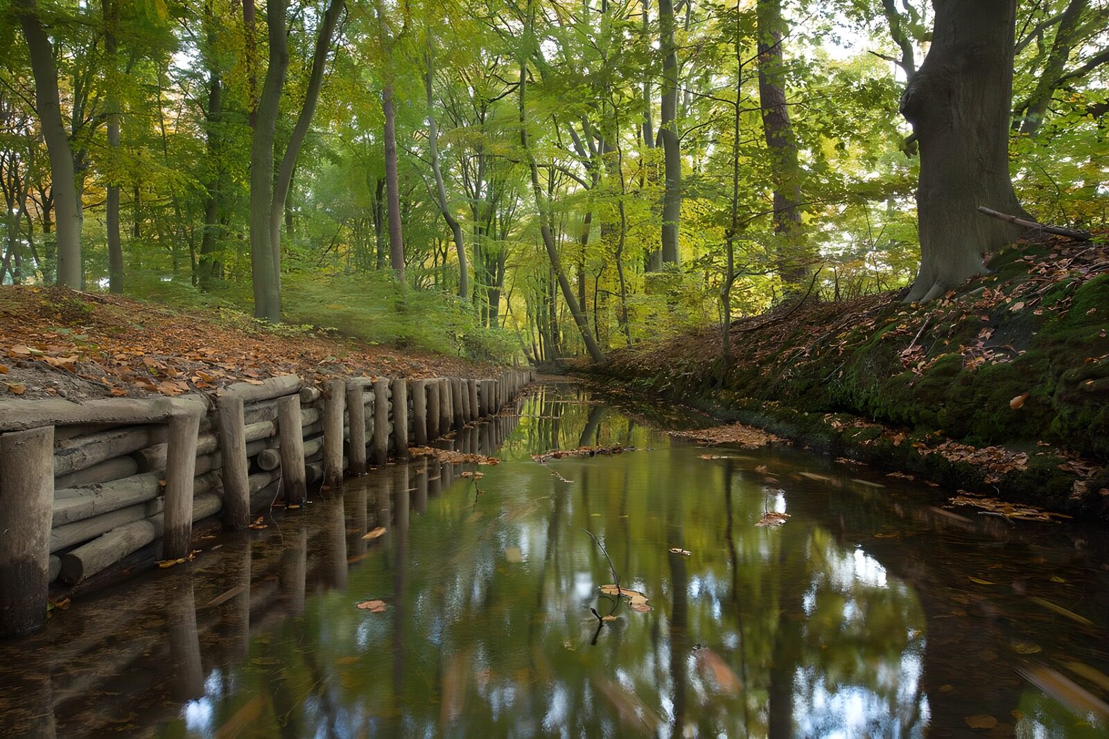 TPFR47557: Reflets paisibles dans la forêt d'automne