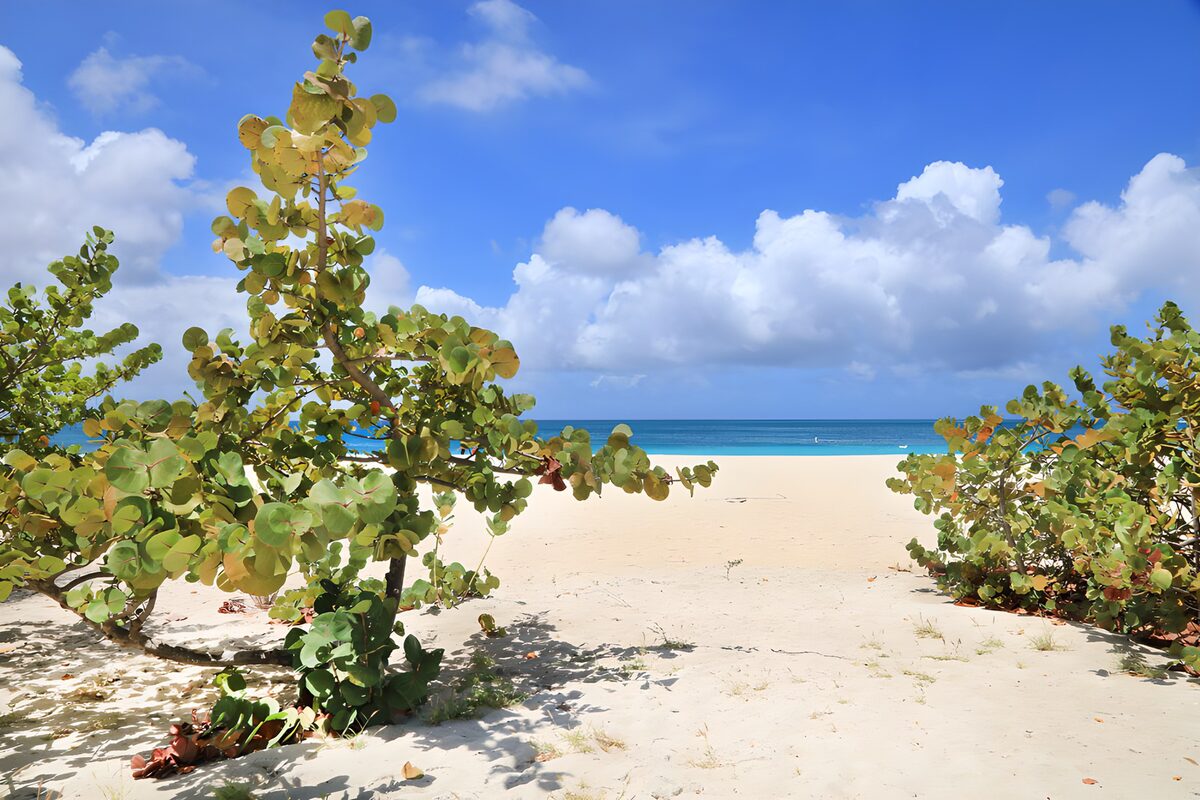TPFR69753: Plage paradisiaque et ciel bleu