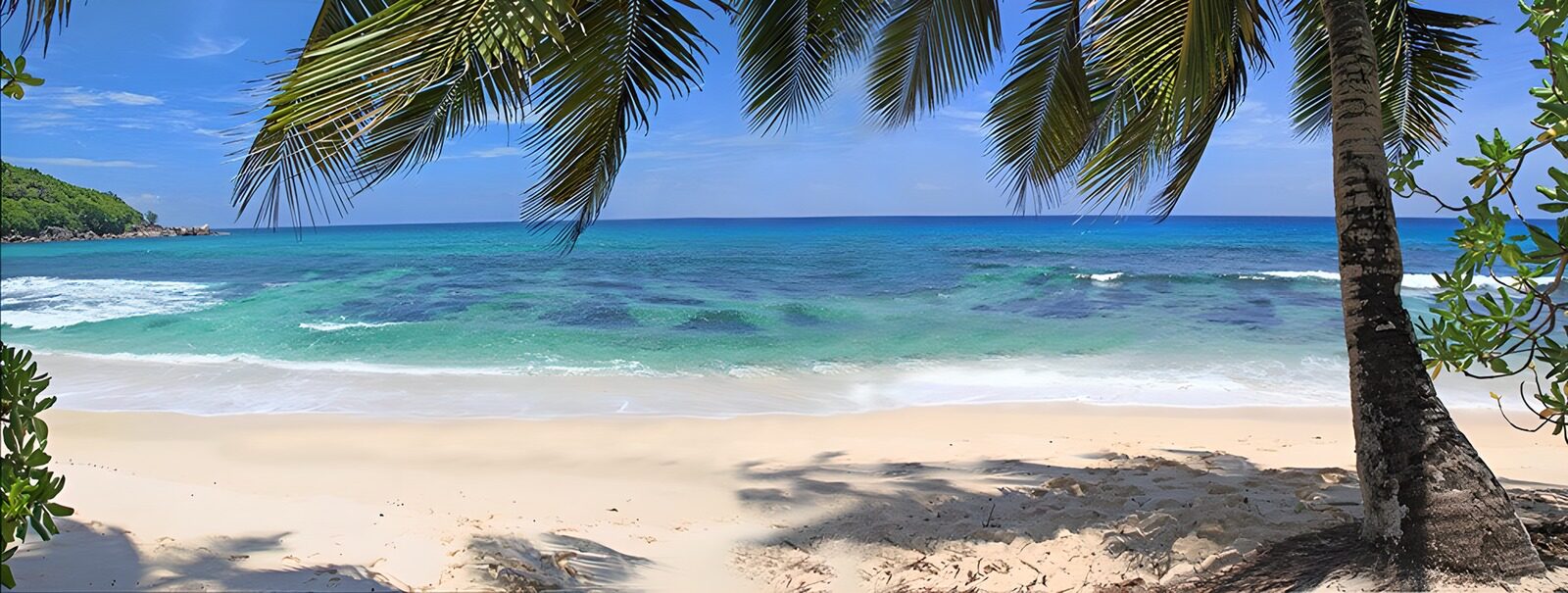 TPFR97921: Plage paradisiaque sous les palmiers