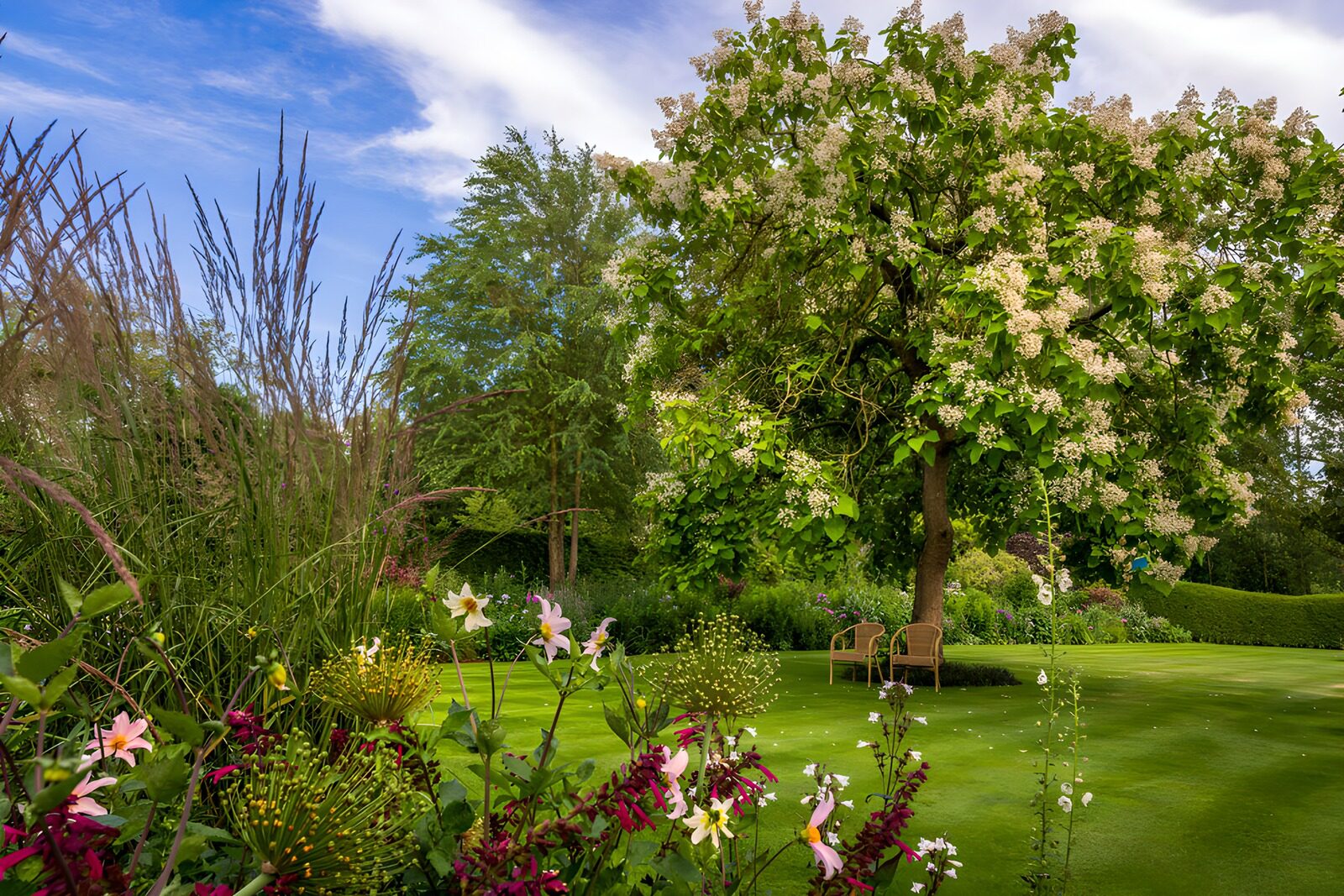 TPFR19129: Jardin paisible sous arbre fleuri
